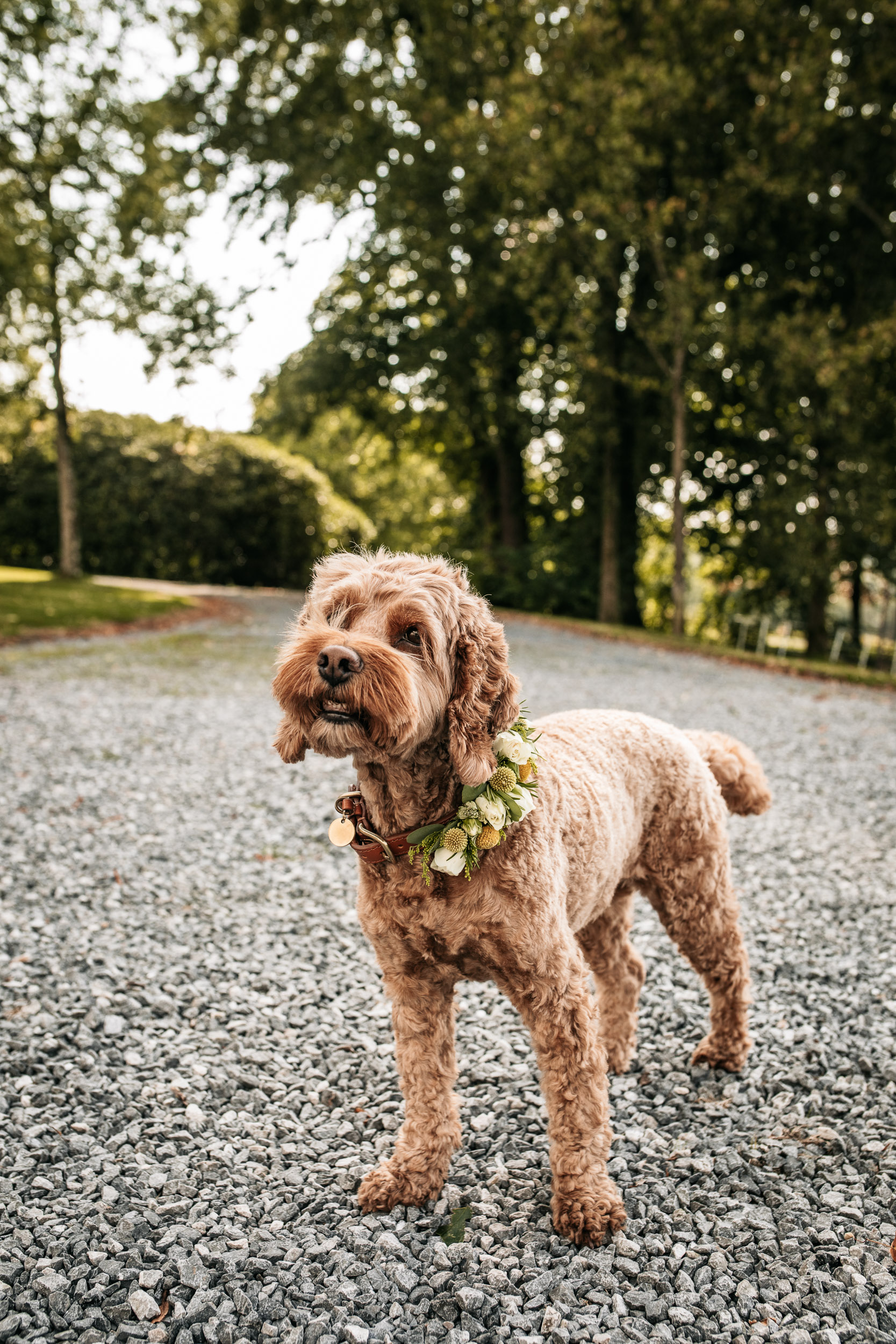 Hochzeitsfotografie in NRW — Aufnahme 3